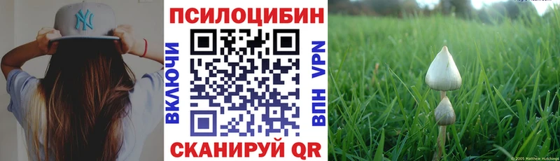 где купить наркоту  Облучье  Псилоцибиновые грибы мухоморы 